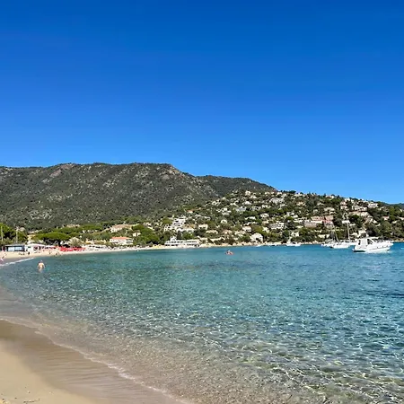 Appartement Acanthes - Avec Jardin - A 5 Minutes Des Plages Le Lavandou